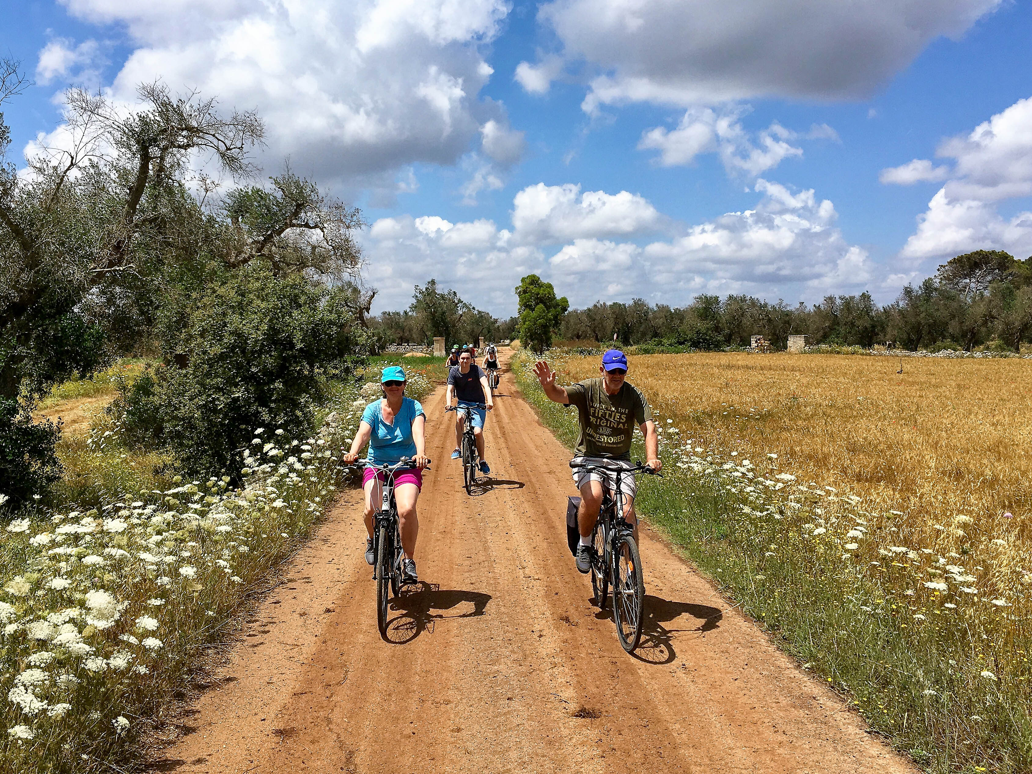 Syklister på vei gjennom olivenlund med store åkre i solskinn
