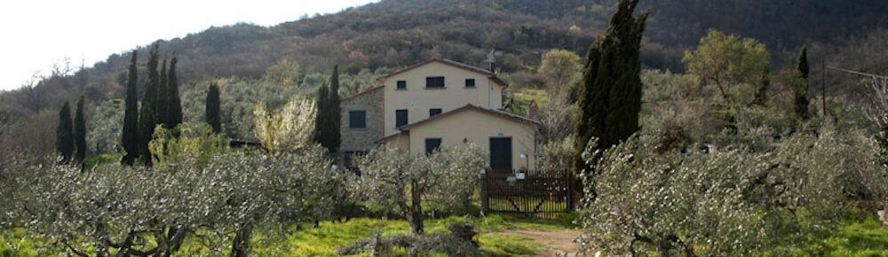 Villa Luna Cortona 4 soverom 5 bad privat basseng