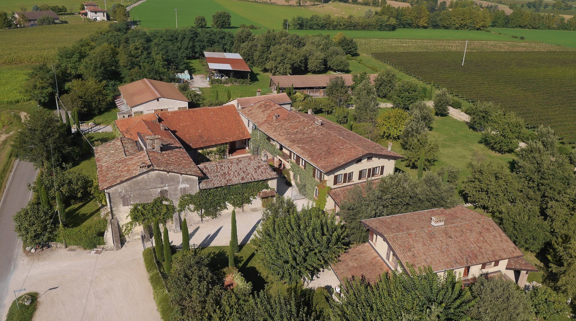 Vingården Capuzza Desenzano del Garda - Brescia - Italia Italy La Bella Vita